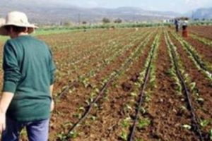 Υπομέτρο 3.1 «Στήριξη για νέες συμμετοχές σε συστήματα ποιότητας»