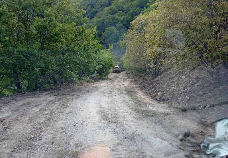 Διαμόρφωση αγροτικής και δασικής οδοποιίας στην περιοχή της Βυσινιάς