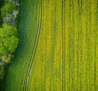χωραφι αγροτεμαχιο
