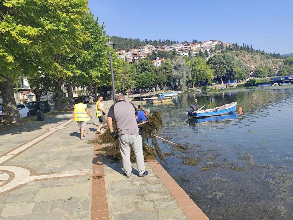 καθαρισμός της λίμνης Καστοριάς