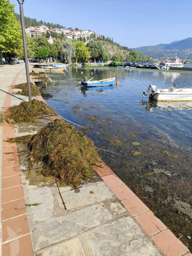 καθαρισμός της λίμνης Καστοριάς