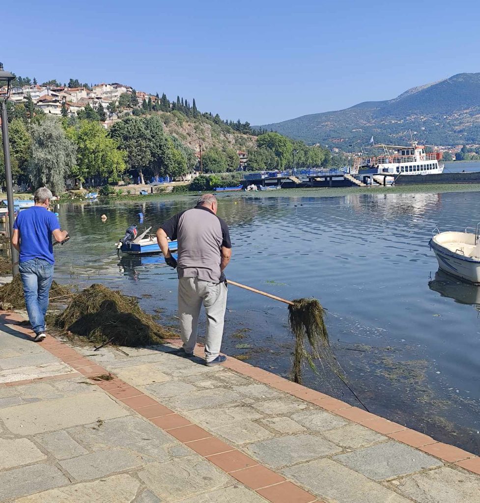 καθαρισμός της λίμνης Καστοριάς