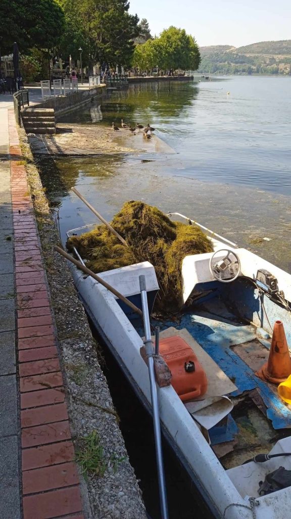 καθαρισμός της λίμνης Καστοριάς