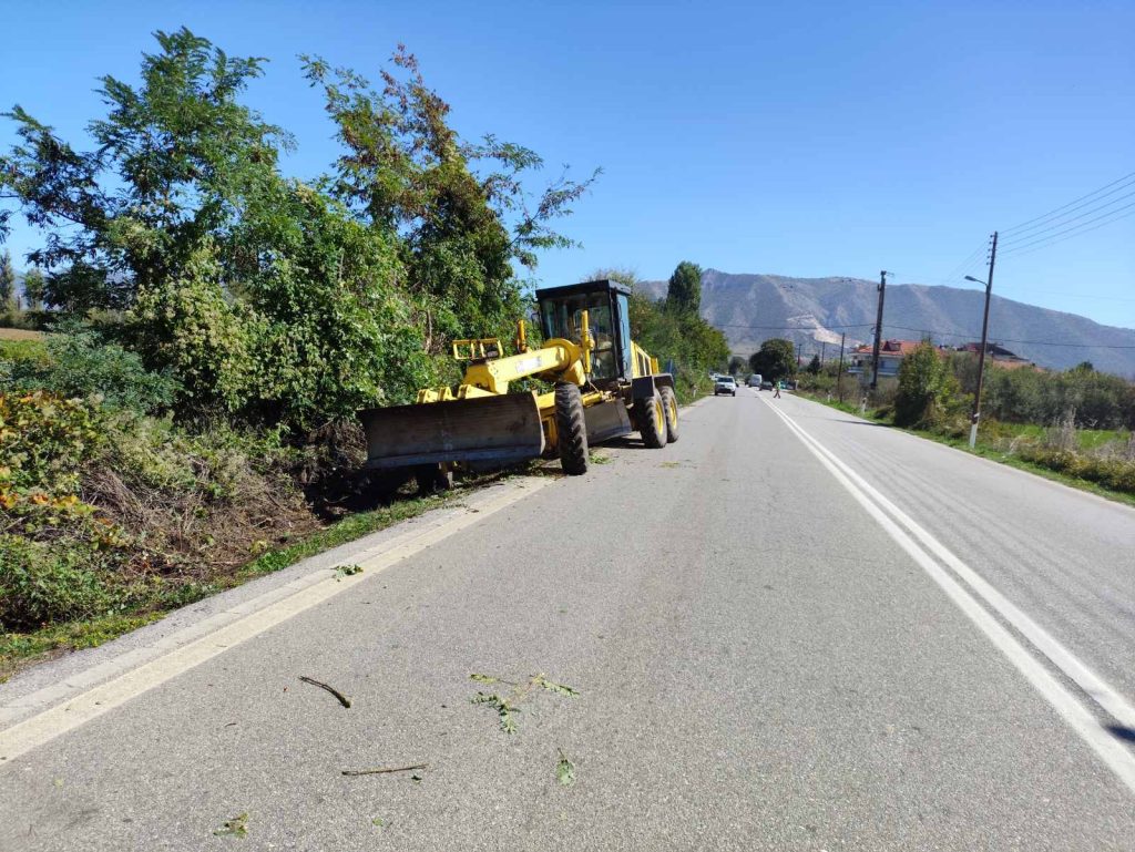 1. Κοπή κλαδιών στην περιοχή Γκιόλε