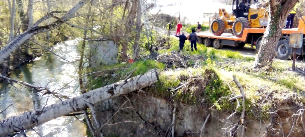 Ολοκλήρωση Εργασιών Απομάκρυνσης Επικίνδυνων Δέντρων