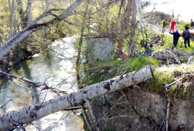 Ολοκλήρωση Εργασιών Απομάκρυνσης Επικίνδυνων Δέντρων