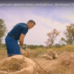 καθαρισμός οικοπέδων