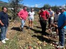 Μεγάλες ζημιές σε καλλιέργειες από ισχυρούς ανέμους