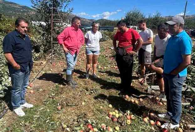 Μεγάλες ζημιές σε καλλιέργειες από ισχυρούς ανέμους