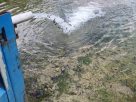 φάση εμπλουτισμού των λιμνοφραγμάτων Βράχου και Γέρμα