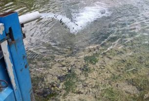 φάση εμπλουτισμού των λιμνοφραγμάτων Βράχου και Γέρμα