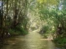 Ολοκληρώθηκαν οι εργασίες καθαρισμού στην Στάρα Ρέκα