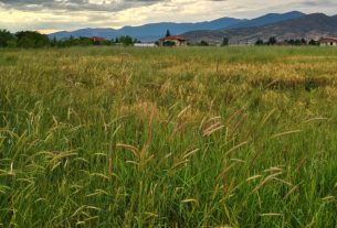 site_agros2_1124_750
